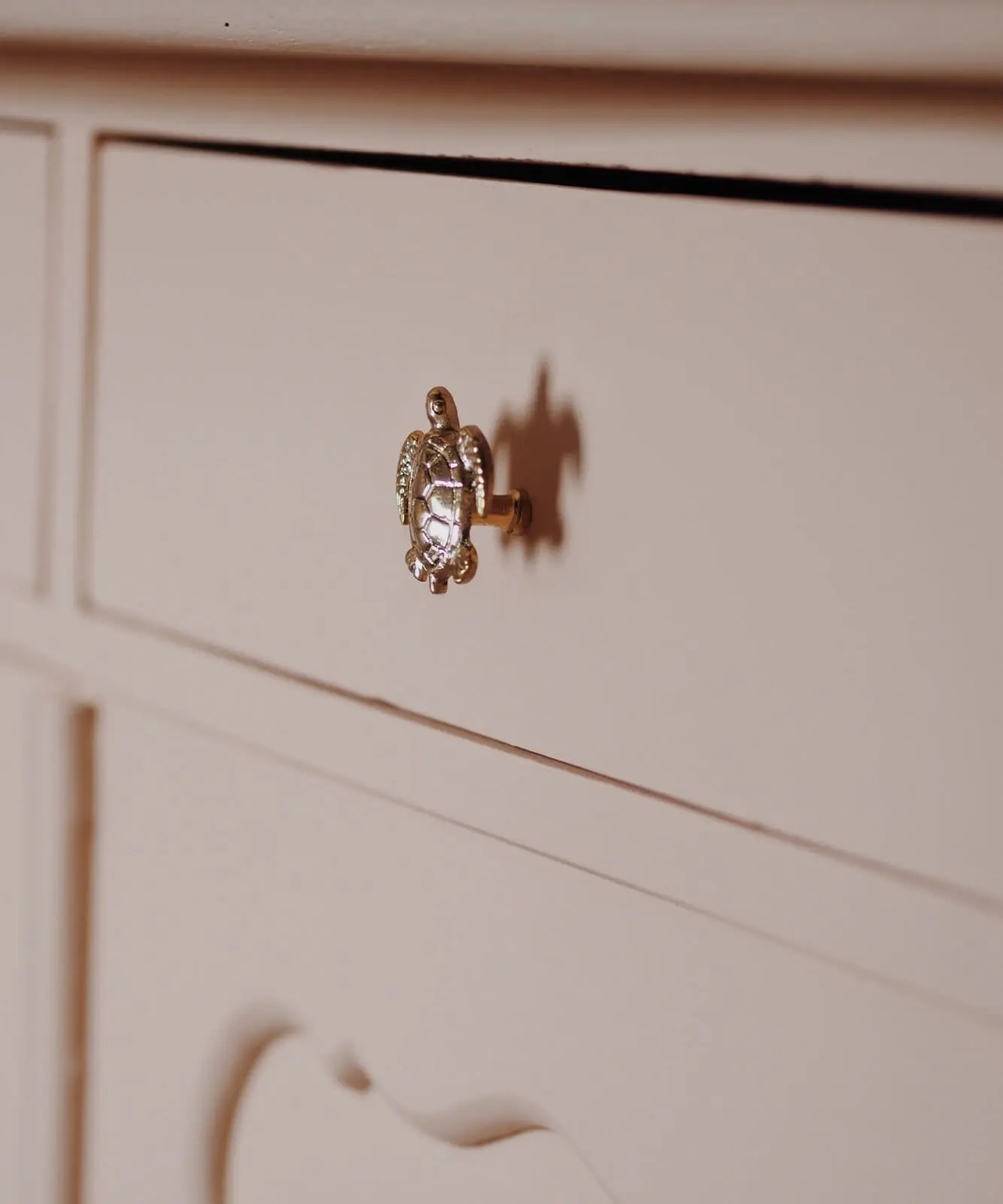 Bouton de Tiroir - TOMMY TURTLE - Doing Goods – Image 4