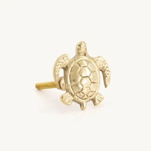 Bouton de Tiroir - TOMMY TURTLE - Doing Goods