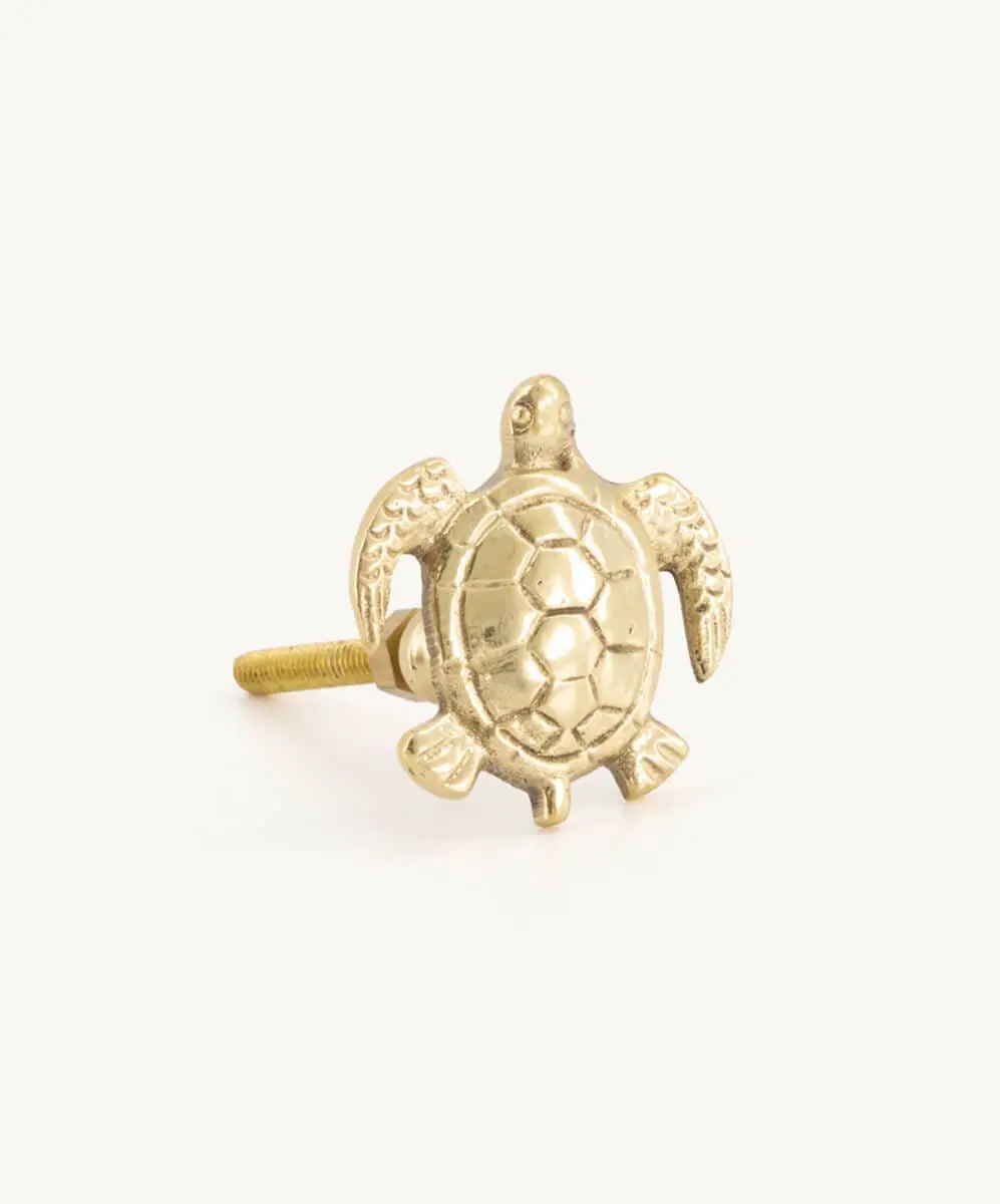 Bouton de Tiroir - TOMMY TURTLE - Doing Goods