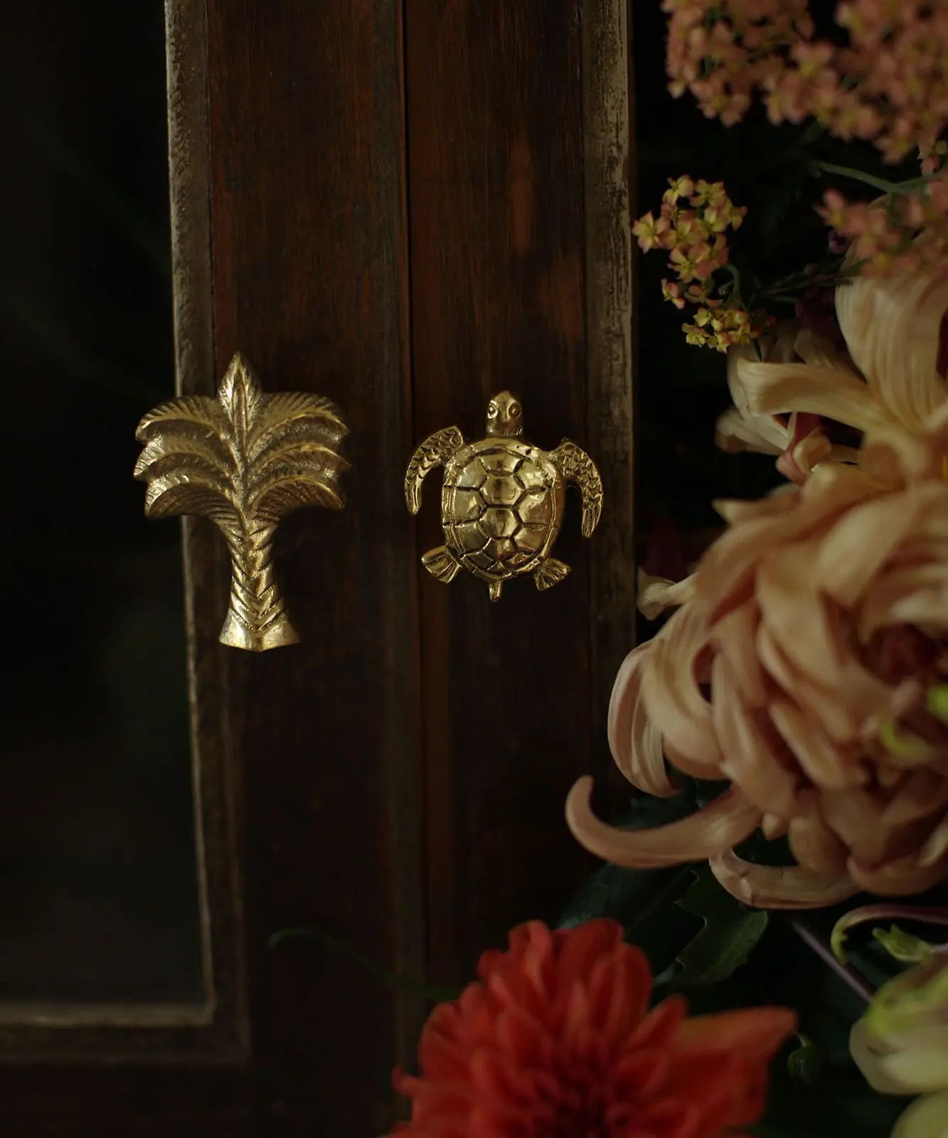 Bouton de Tiroir - TOMMY TURTLE - Doing Goods – Image 3